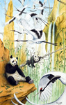 Red-crowned Cranes and Pandas